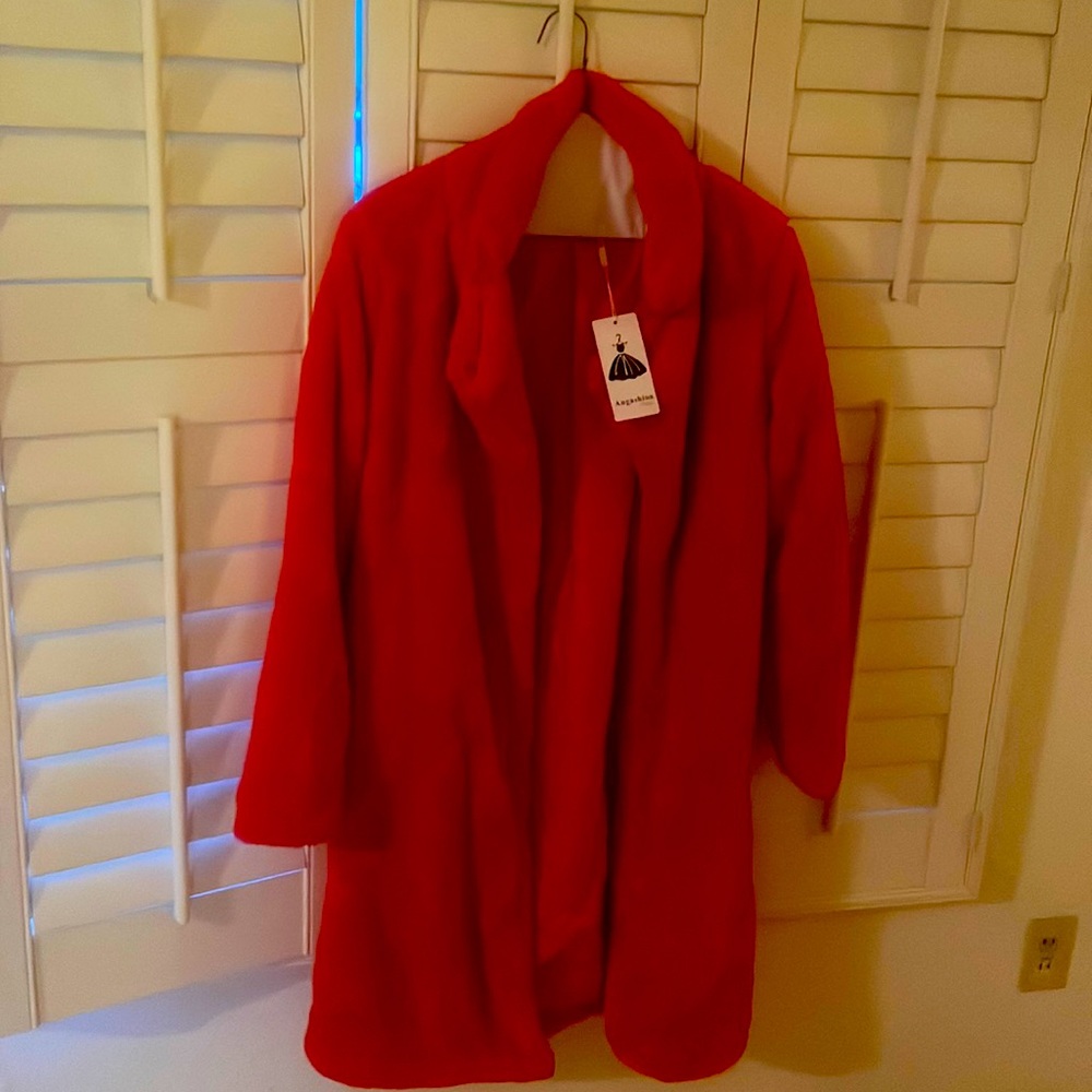 Teddy bear red coat.